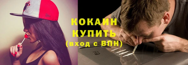 стафф Алексин