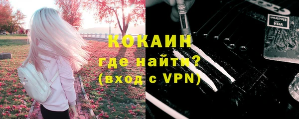 стафф Алексин