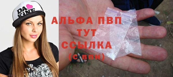 стафф Алексин